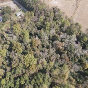 Photo #19 of SOLD property in Off Delway Highway, Rose Hill, NC 40.0 acres
