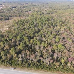 Photo #20 of SOLD property in Off Delway Highway, Rose Hill, NC 40.0 acres