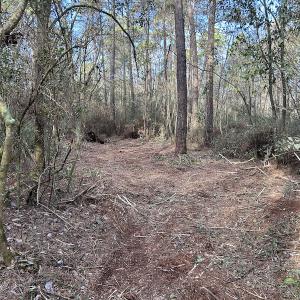 Photo #24 of SOLD property in Off Delway Highway, Rose Hill, NC 40.0 acres
