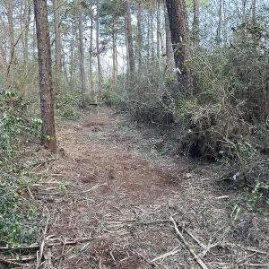 Photo #25 of SOLD property in Off Delway Highway, Rose Hill, NC 40.0 acres