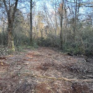 Photo #26 of SOLD property in Off Delway Highway, Rose Hill, NC 40.0 acres