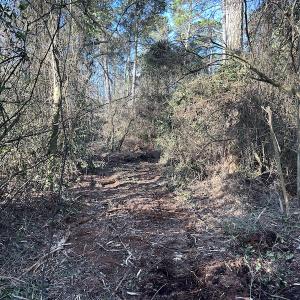 Photo #28 of SOLD property in Off Delway Highway, Rose Hill, NC 40.0 acres