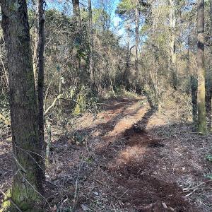 Photo #29 of SOLD property in Off Delway Highway, Rose Hill, NC 40.0 acres
