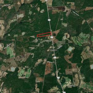 Photo #32 of SOLD property in Off Delway Highway, Rose Hill, NC 40.0 acres