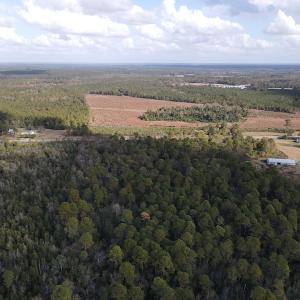 Photo #4 of SOLD property in Off Delway Highway, Rose Hill, NC 40.0 acres