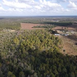 Photo #5 of SOLD property in Off Delway Highway, Rose Hill, NC 40.0 acres