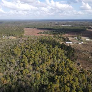 Photo #6 of SOLD property in Off Delway Highway, Rose Hill, NC 40.0 acres