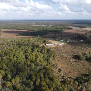 Photo #7 of SOLD property in Off Delway Highway, Rose Hill, NC 40.0 acres