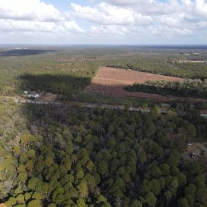 Photo #9 of SOLD property in Off Delway Highway, Rose Hill, NC 40.0 acres