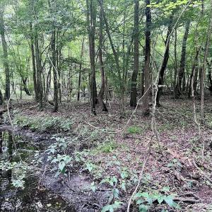 Photo #12 of SOLD property in Off Hwy 123 North, Hookerton, NC 36.0 acres