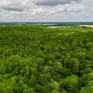 Photo #7 of SOLD property in Off Hwy 123 North, Hookerton, NC 36.0 acres