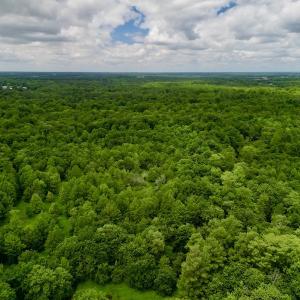 Photo #8 of SOLD property in Off Hwy 123 North, Hookerton, NC 36.0 acres