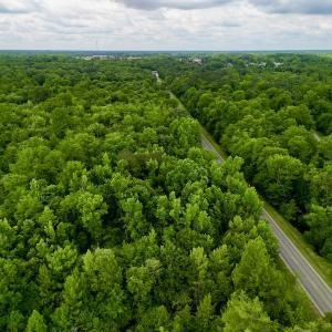 Photo #30 of Off Hwy 123 North, Hookerton, NC 36.0 acres