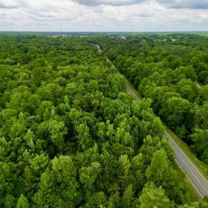 Photo #30 of SOLD property in Off Hwy 123 North, Hookerton, NC 36.0 acres