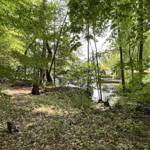 Photo #11 of Off Pine Rd, Quinton, VA 0.2 acres