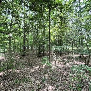 Photo #6 of Off Pine Rd, Quinton, VA 0.2 acres