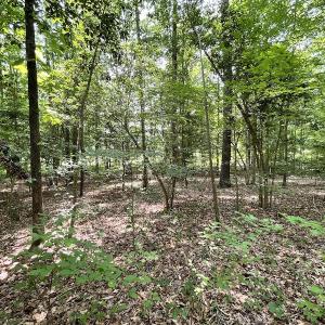 Photo #7 of Off Pine Rd, Quinton, VA 0.2 acres