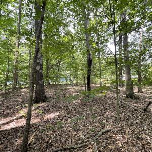 Photo #8 of Off Pine Rd, Quinton, VA 0.2 acres