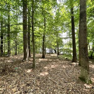 Photo #9 of Off Pine Rd, Quinton, VA 0.2 acres