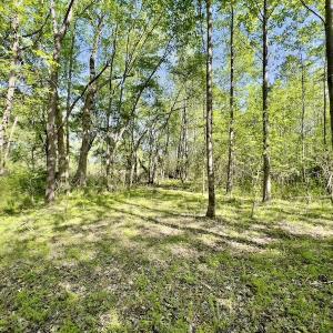 Photo #12 of SOLD property in Off Boseman Road , Rocky Mount, NC 16.6 acres