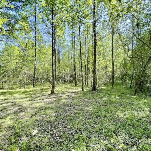 Photo #13 of SOLD property in Off Boseman Road , Rocky Mount, NC 16.6 acres