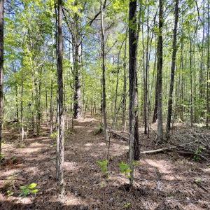 Photo #15 of SOLD property in Off Boseman Road , Rocky Mount, NC 16.6 acres