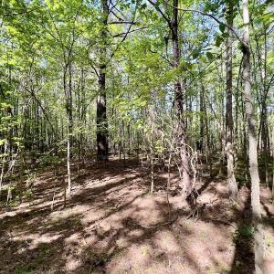 Photo #16 of Off Boseman Road , Rocky Mount, NC 16.6 acres
