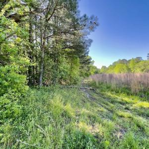 Photo #23 of SOLD property in Off Boseman Road , Rocky Mount, NC 16.6 acres