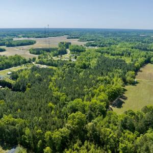 Photo #30 of SOLD property in Off Boseman Road , Rocky Mount, NC 16.6 acres