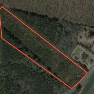 Photo #1 of SOLD property in Off SR 1153 / Vine Swamp Rd, Kinston, NC 10.2 acres