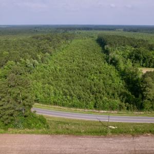 Photo #2 of SOLD property in Off SR 1153 / Vine Swamp Rd, Kinston, NC 10.2 acres