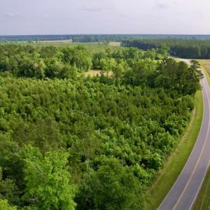 Photo #11 of SOLD property in Off SR 1153 / Vine Swamp Rd, Kinston, NC 10.2 acres