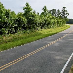 Photo #12 of SOLD property in Off SR 1153 / Vine Swamp Rd, Kinston, NC 10.2 acres