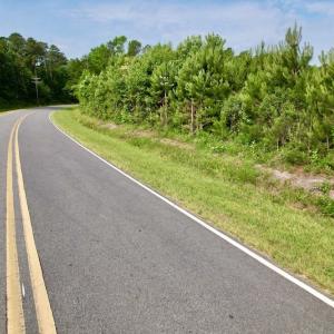 Photo #13 of SOLD property in Off SR 1153 / Vine Swamp Rd, Kinston, NC 10.2 acres