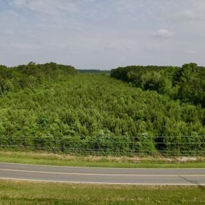 Photo #3 of SOLD property in Off SR 1153 / Vine Swamp Rd, Kinston, NC 10.2 acres