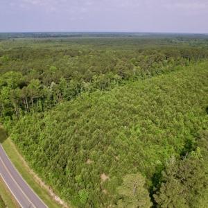 Photo #4 of SOLD property in Off SR 1153 / Vine Swamp Rd, Kinston, NC 10.2 acres