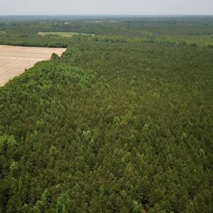Photo #2 of SOLD property in Off Brink Rd , Emporia, VA 161.0 acres