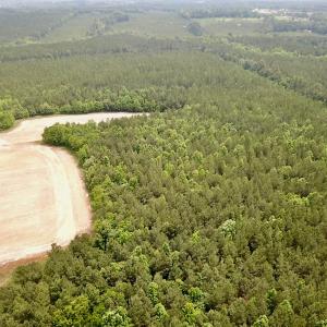 Photo #4 of SOLD property in Off Brink Rd , Emporia, VA 161.0 acres