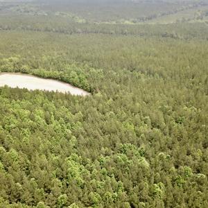 Photo #5 of SOLD property in Off Brink Rd , Emporia, VA 161.0 acres