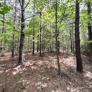 Photo #19 of SOLD property in Off Brink Rd , Emporia, VA 161.0 acres