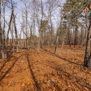 Photo #11 of Off Highway 15, Marston, NC 58.4 acres