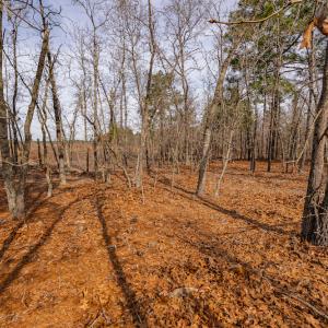 Photo #11 of SOLD property in Off Highway 15, Marston, NC 58.4 acres