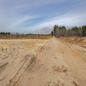 Photo #12 of SOLD property in Off Highway 15, Marston, NC 58.4 acres