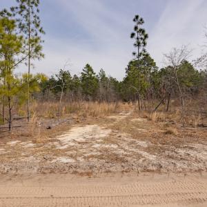 Photo #13 of Off Highway 15, Marston, NC 58.4 acres