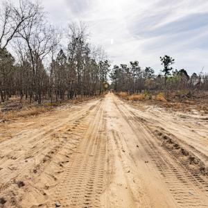 Photo #14 of Off Highway 15, Marston, NC 58.4 acres