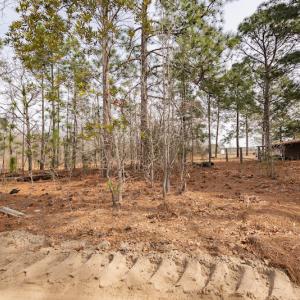 Photo #15 of Off Highway 15, Marston, NC 58.4 acres