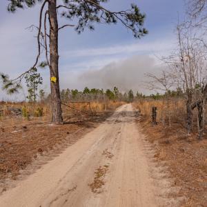 Photo #2 of Off Highway 15, Marston, NC 58.4 acres