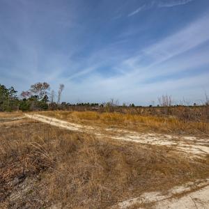 Photo #6 of SOLD property in Off Highway 15, Marston, NC 58.4 acres