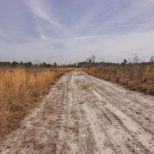 Photo #7 of SOLD property in Off Highway 15, Marston, NC 58.4 acres