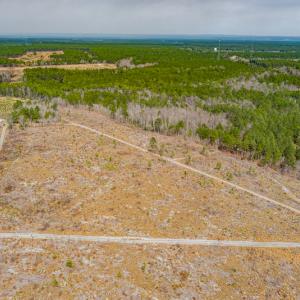 Photo #21 of Off Highway 15, Marston, NC 58.4 acres
